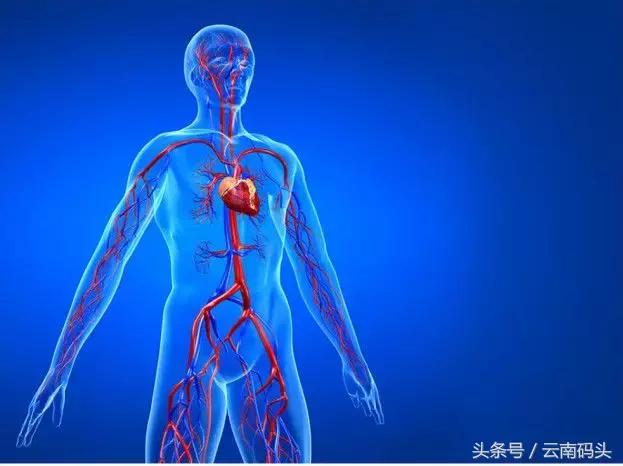 世界冠军运动员15年的秘密*器武**——天然虾青素