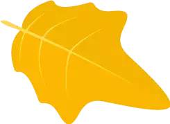 白险峰：以“四个非常”实现执行攻坚大提升