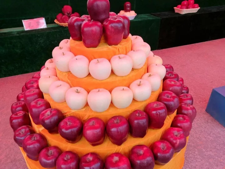 中国首届农民丰收节陕西分会场,陇南中国农民丰收节热点