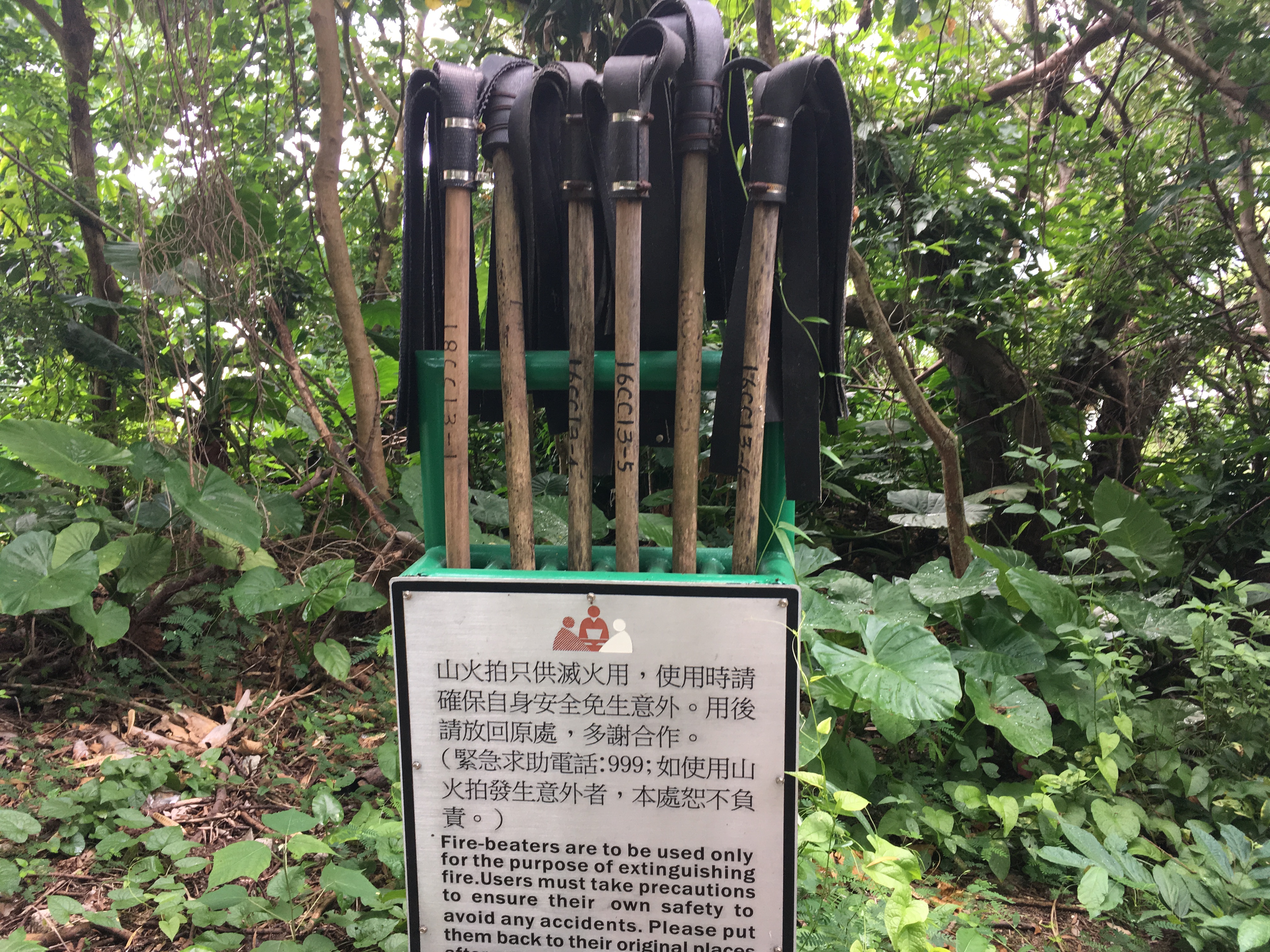 香港离岛区哪里最好玩,离岛长洲在什么地方
