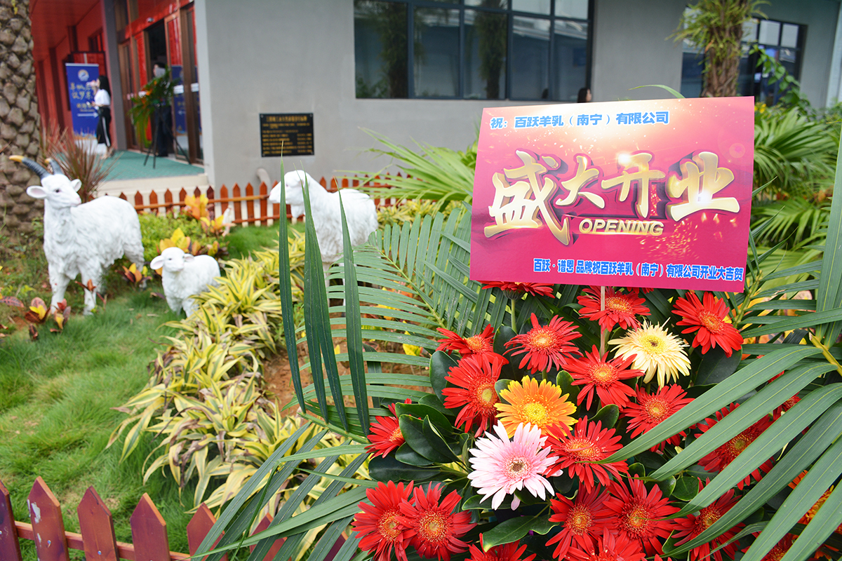 百跃羊乳集团南宁万吨级全智能羊乳粉生产基地顺利投产
