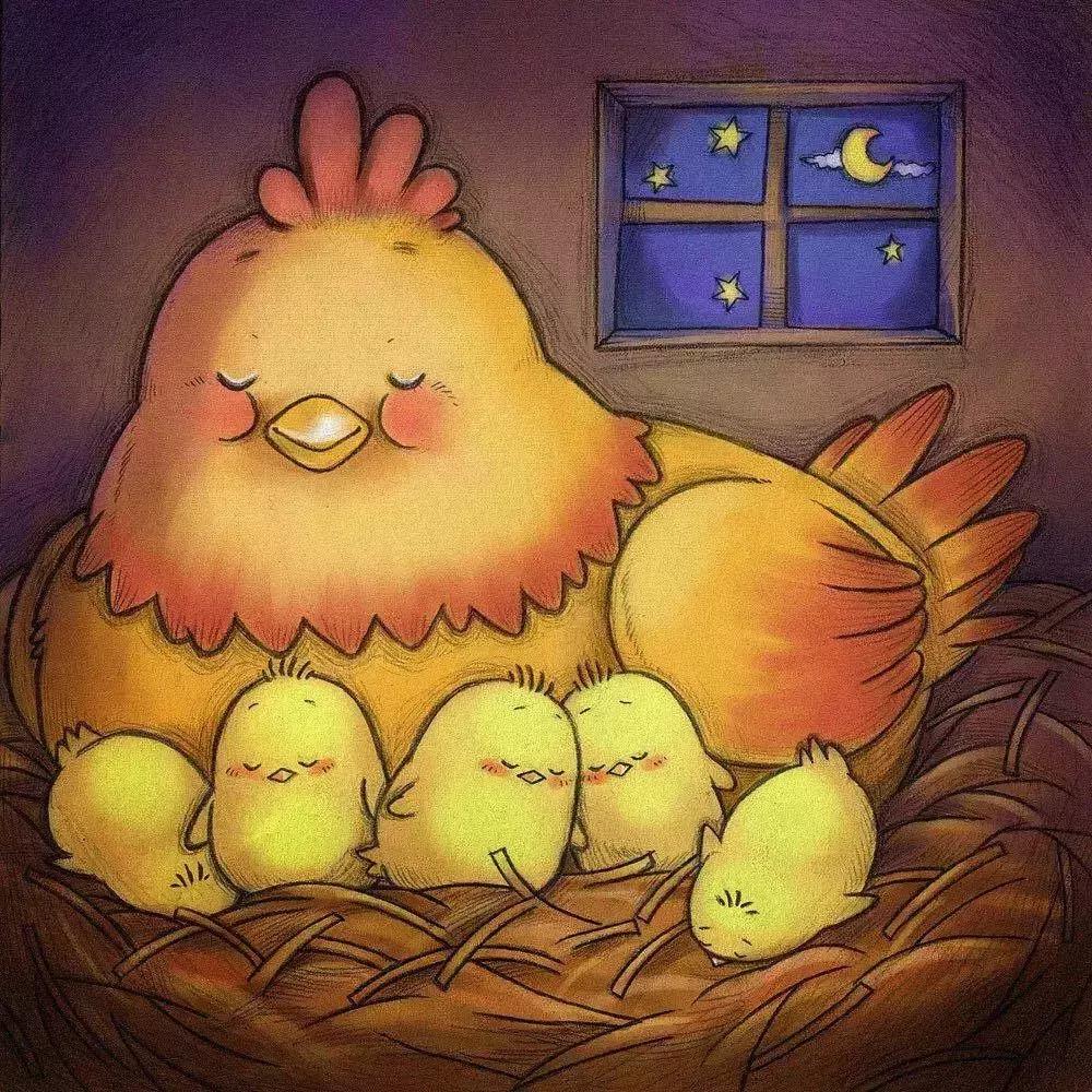 养鸡场回乡创业项目,农村小伙自制全自动养鸡场