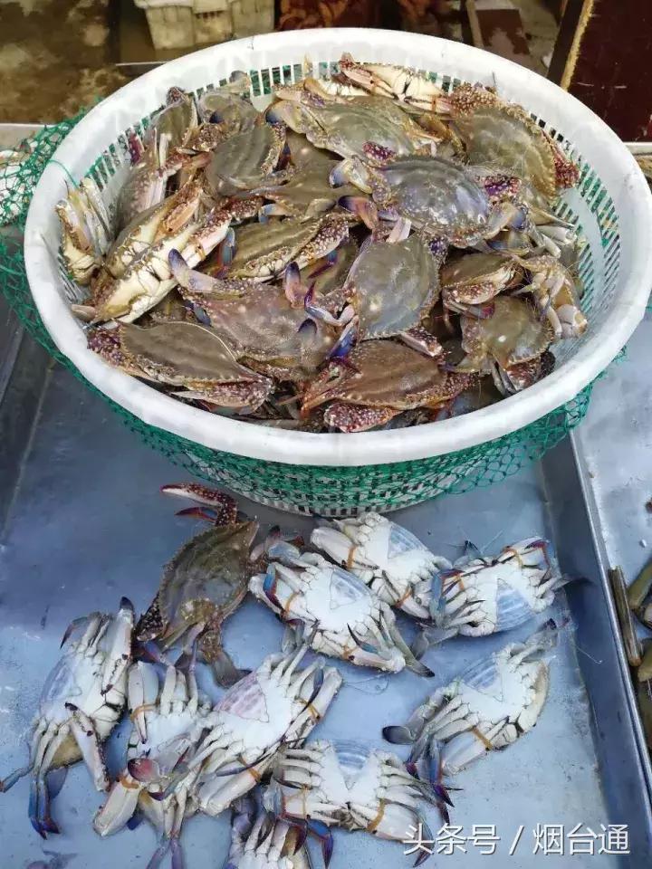 烟台螃蟹怎么挑选,烟台冬天螃蟹怎么挑选