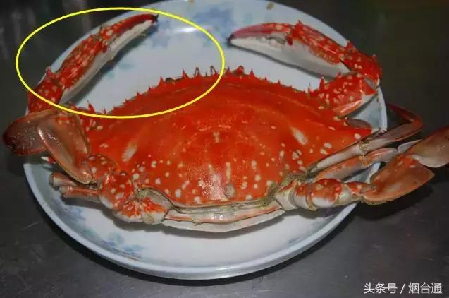 烟台螃蟹怎么挑选,烟台冬天螃蟹怎么挑选
