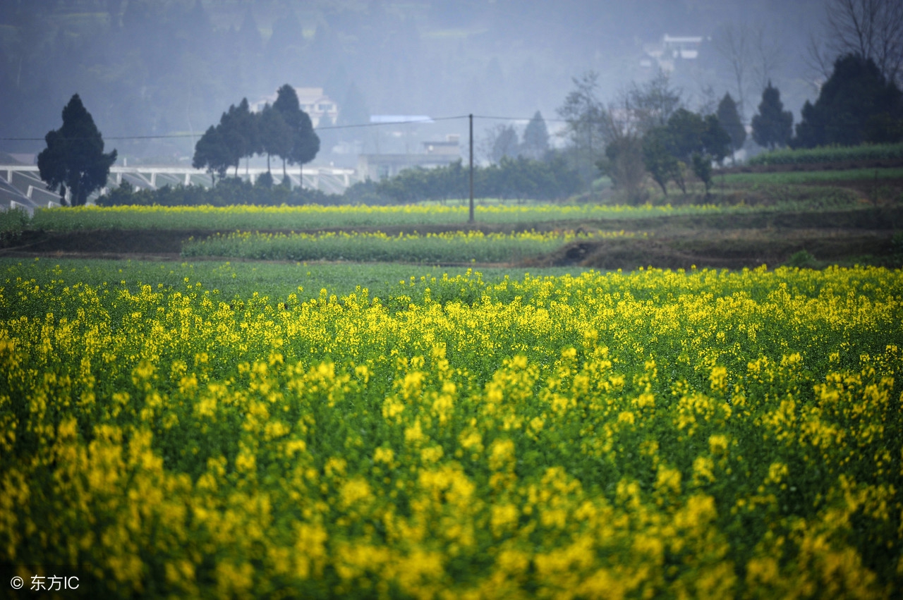 中考满分作文共度时光,共度好时光初三作文