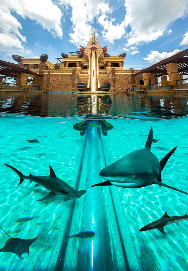 三亚亚特兰蒂斯公寓旅行攻略,三亚旅游住宿亚特兰蒂斯