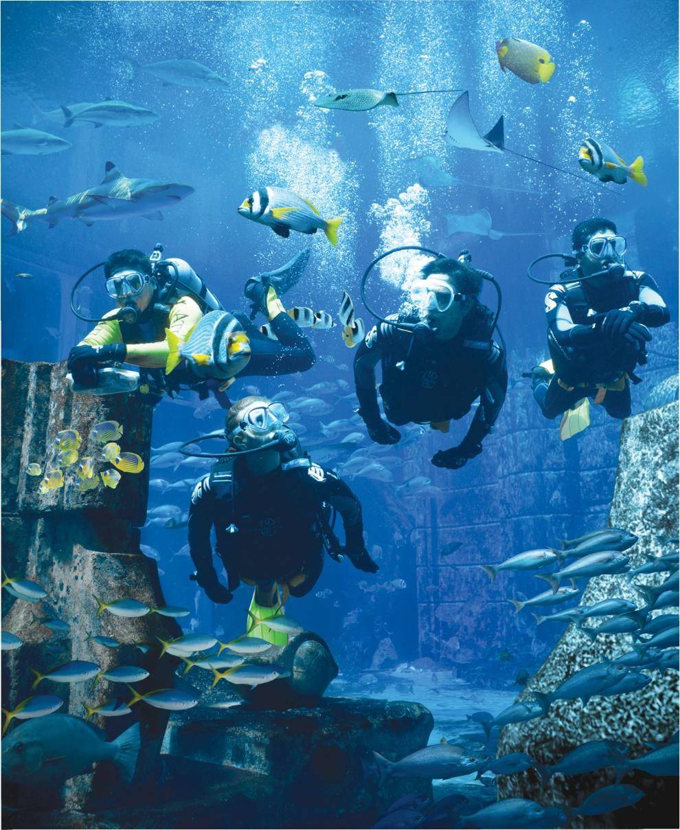 三亚亚特兰蒂斯公寓旅行攻略,三亚旅游住宿亚特兰蒂斯