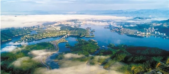 我们一起来接力！这里有份“除四害保健康”的倡仪书……