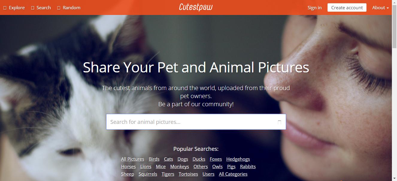 高清图片资源哪里可以弄,高清原图资源