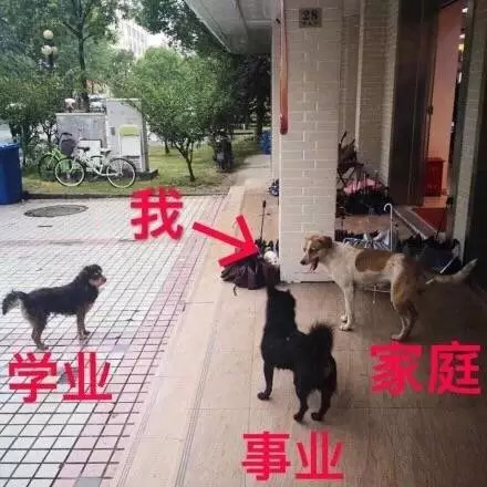 高清搞笑斗图表情包来袭,斗图表情包无水印搞笑