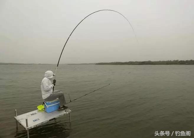 如何挑选一款好鱼竿,怎么挑选一款合适的鱼竿