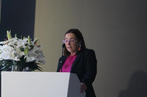 德硅雷诺丽特现状,德硅雷诺丽特沈阳