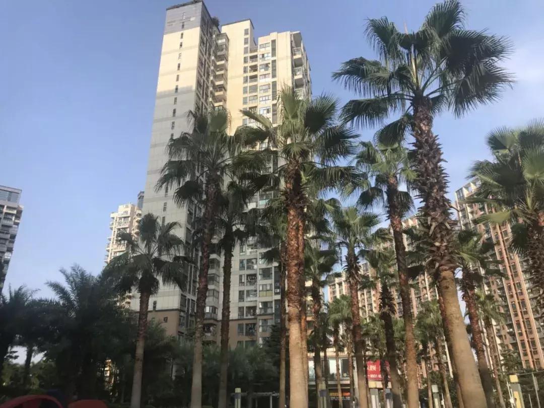 阳光天健城新楼盘,阳光天健城值不值得入手