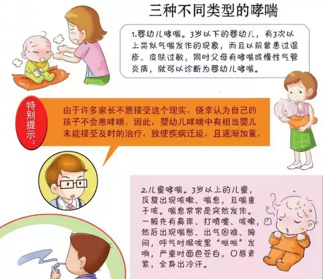 积木宝贝分享,积木宝贝分享是什么