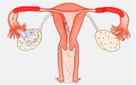 当女人出现这五种表现,身体出现什么症状是不可能怀孕的