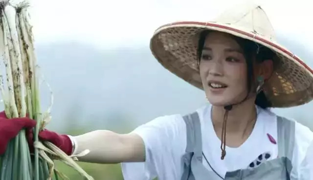 中餐厅2舒淇吃饭视频,舒淇吃面条