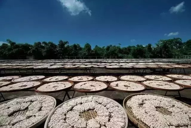 中餐厅2舒淇吃饭视频,舒淇吃面条