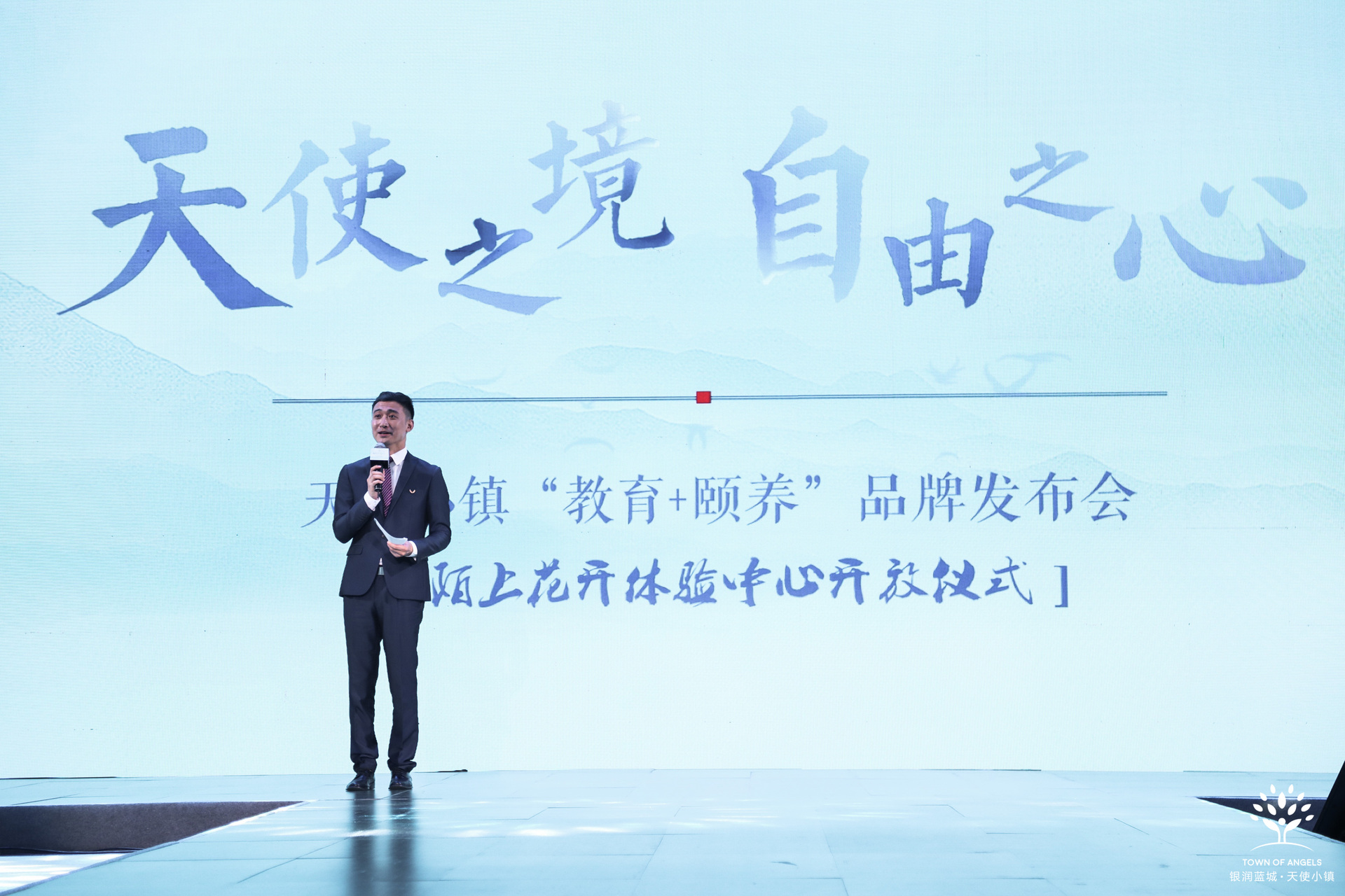 宋卫平时期绿城的项目,宋卫平绿城中交