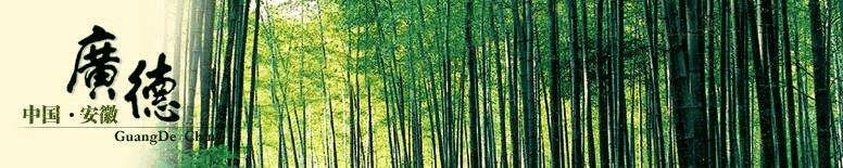 广德房子值得买吗,告诉你一个秘密是什么梗