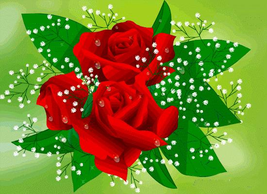 祝你2019年越来越好,祝你永远年轻漂亮开心图片