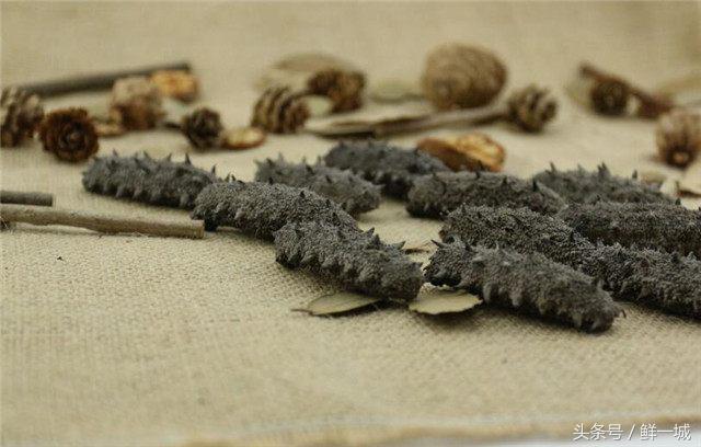 外国人吃海参的正确方法,孩子吃海参的正确方法