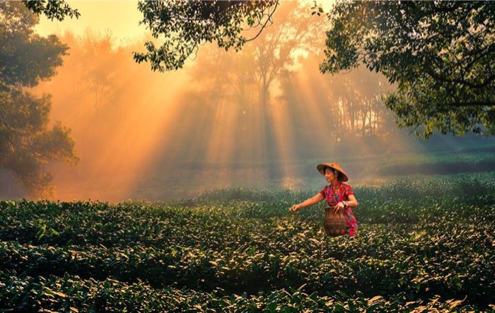 杭州从西湖时代到钱塘时代,杭州进入国家中心城市了吗