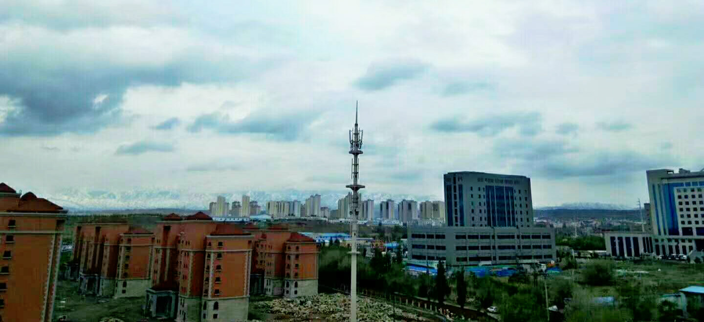 礼泉果农,礼泉果农最新视频