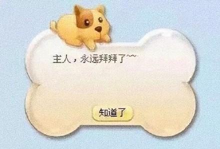 永别了，陪伴了我们13年的QQ宠物！