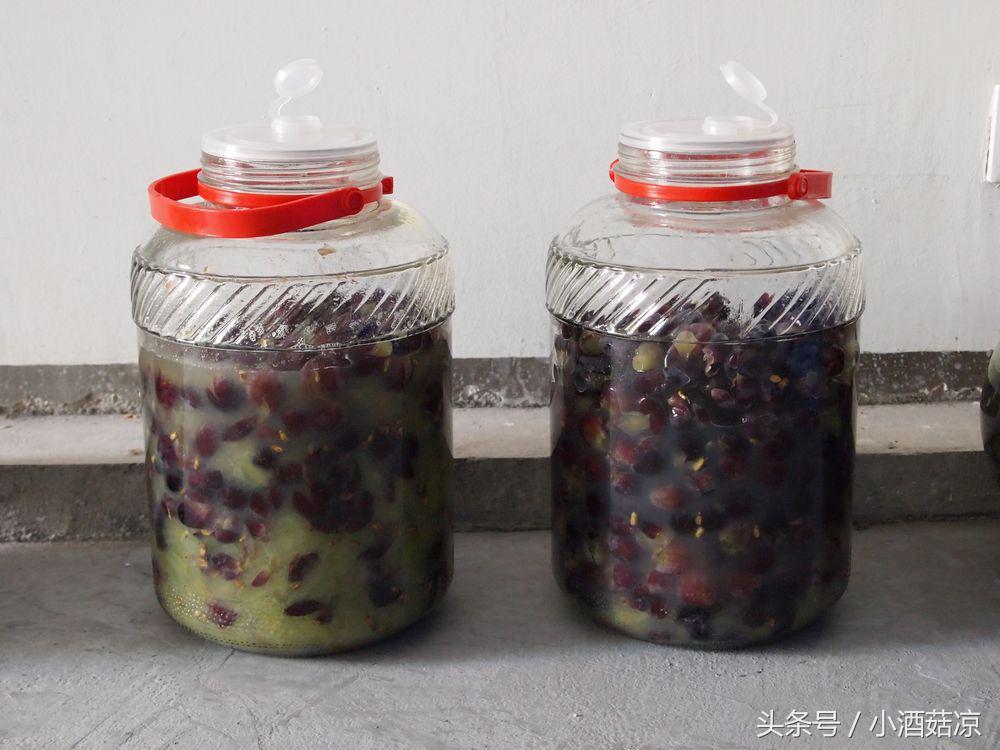 自酿葡萄酒葡萄皮发霉是怎么回事,葡萄酒最终终止发酵的方法