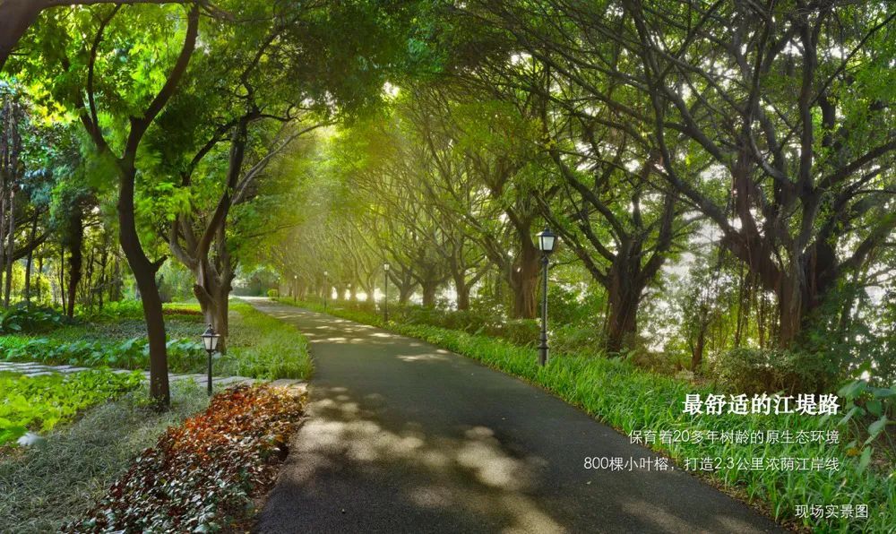 住在城央、睡在岛上、憩在庄园，这样的美梦只在广州有