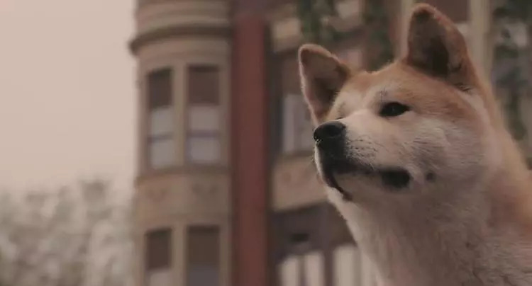 日推爆红的话题,日推热门话题