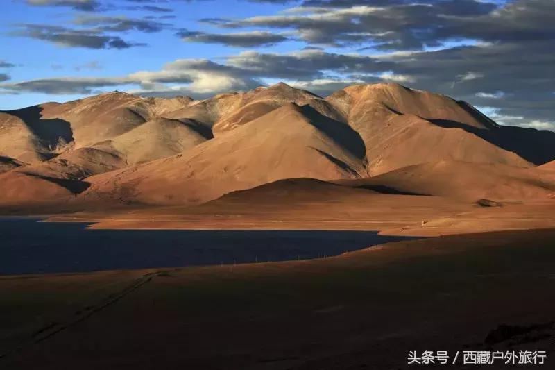 为什么阿里叫阿里地区,为什么阿里被称为拳王