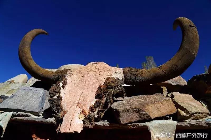 为什么阿里叫阿里地区,为什么阿里被称为拳王