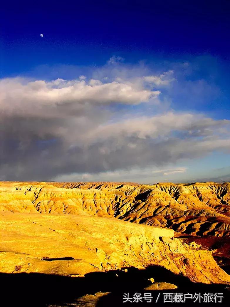 为什么阿里叫阿里地区,为什么阿里被称为拳王