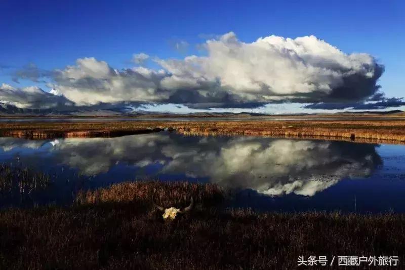 为什么阿里叫阿里地区,为什么阿里被称为拳王