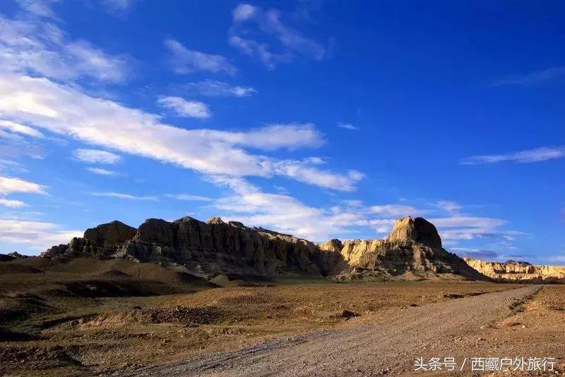 为什么阿里叫阿里地区,为什么阿里被称为拳王