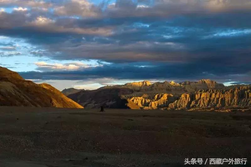 为什么阿里叫阿里地区,为什么阿里被称为拳王