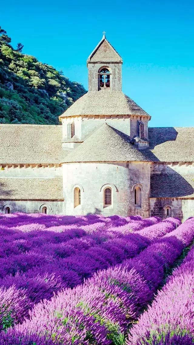 iphone壁纸斗罗大陆壁纸,壁纸控