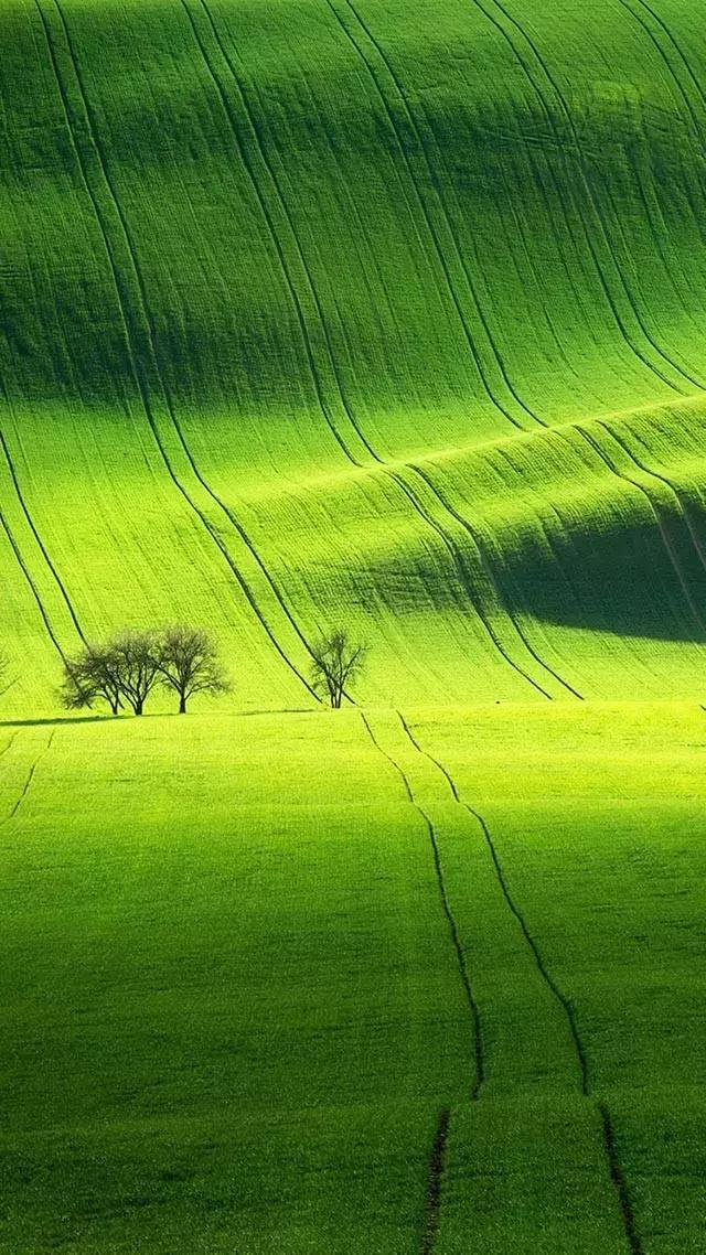 iphone壁纸斗罗大陆壁纸,壁纸控