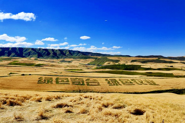 江布拉克的美景描述,风吹麦浪风景视频