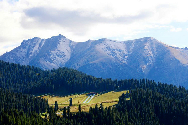 江布拉克的美景描述,风吹麦浪风景视频