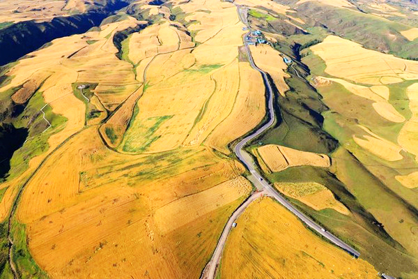 江布拉克的美景描述,风吹麦浪风景视频