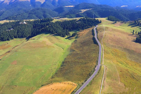 江布拉克的美景描述,风吹麦浪风景视频