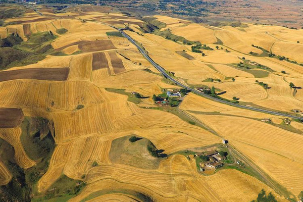 江布拉克的美景描述,风吹麦浪风景视频