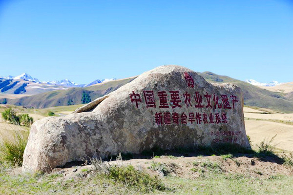 江布拉克的美景描述,风吹麦浪风景视频