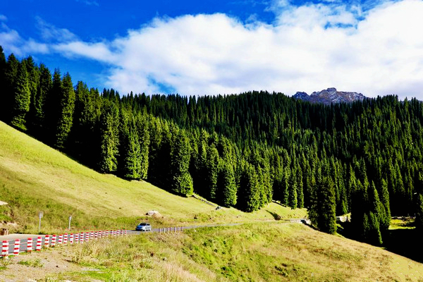 江布拉克的美景描述,风吹麦浪风景视频