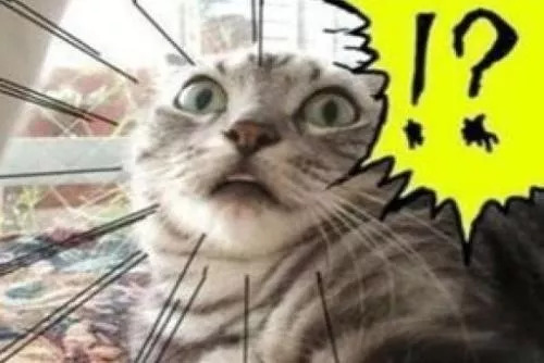 广西天气预报台风山竹,超强台风山竹登陆广西吗