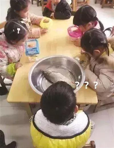 幼儿园累家长攻略——数一亿粒米与画30天月亮