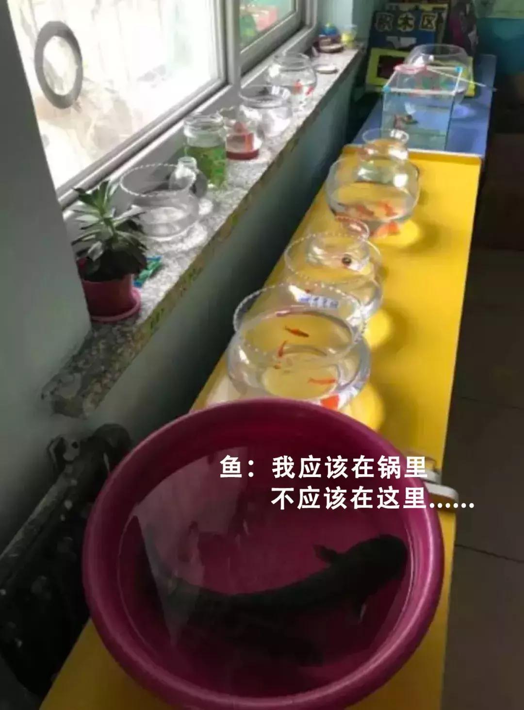 幼儿园累家长攻略——数一亿粒米与画30天月亮