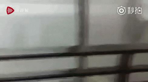 山竹登陆首日自救辟谣与全城戒备,风王山竹什么时候停运